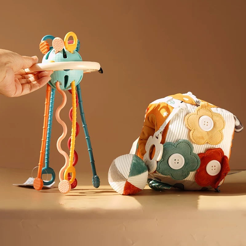 Educational Toy product detail