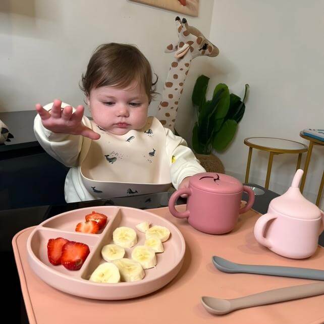 Little Sunshine Starter Set(Arya)