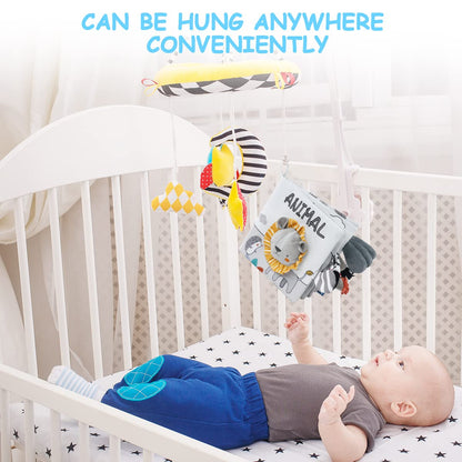 Sunlove Lion Soothing Gift Set for Newborns