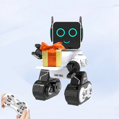 Programmable Smart Robot Toy