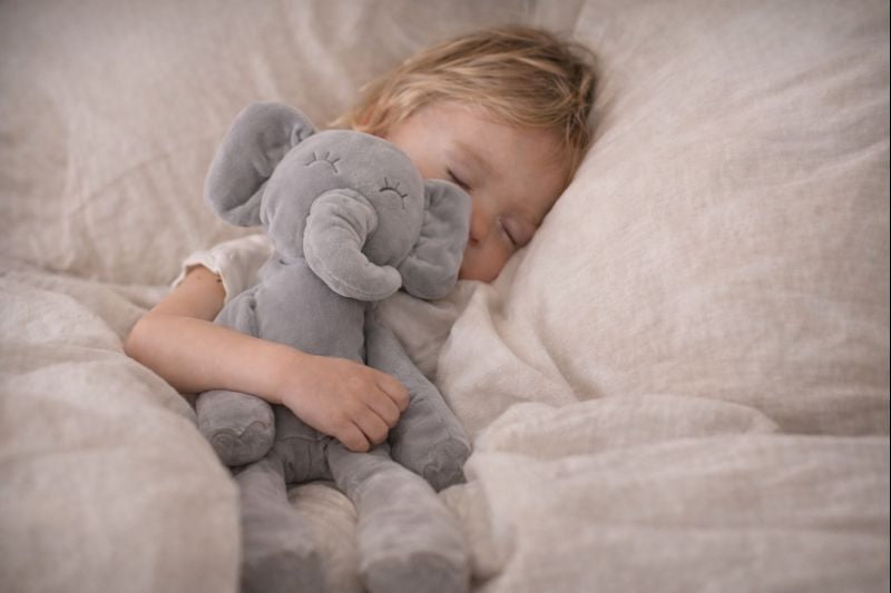 The Comfort Elephant