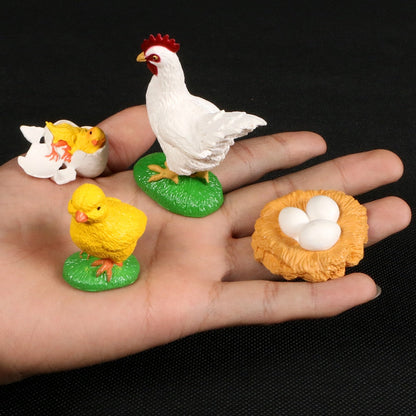 Life Cycle Educational Toys