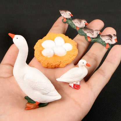 Life Cycle Educational Toys