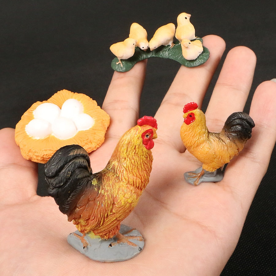 Life Cycle Educational Toys