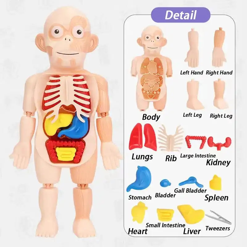 Puzzle product detail