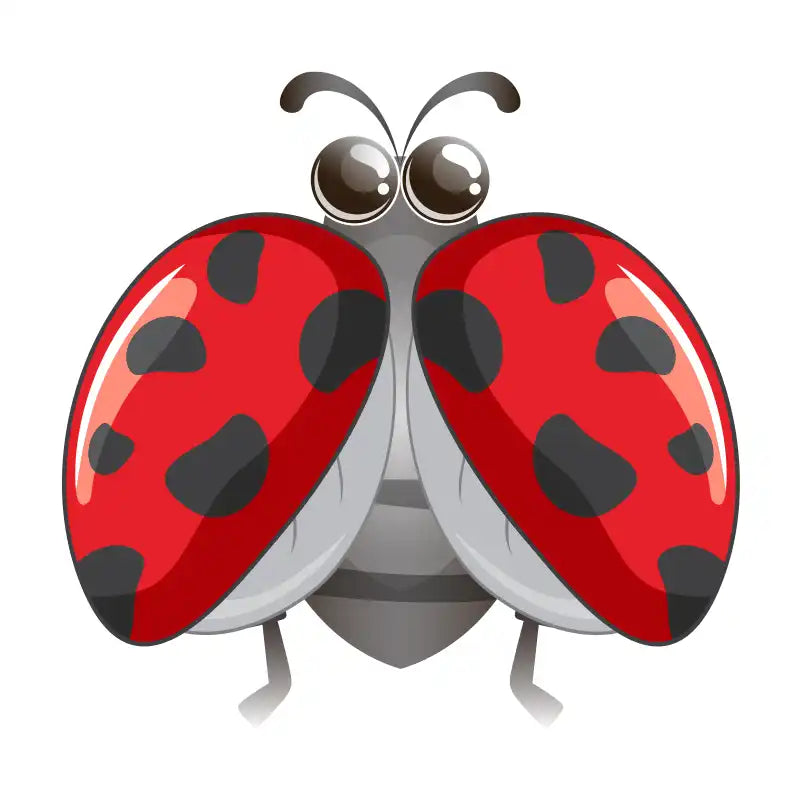 projection game-WEIQUEEN