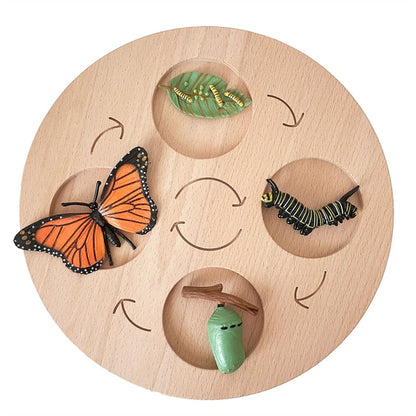 Life Cycle Board Set
