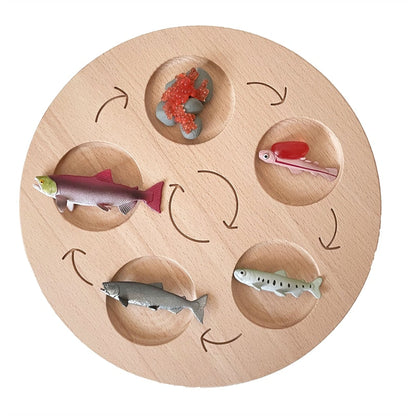 Life Cycle Board Set