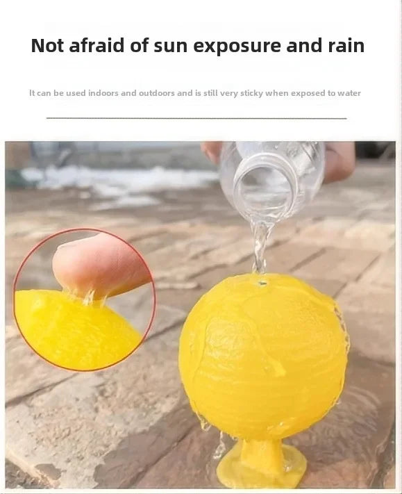 Lemon Sticky Fly Trap | Mosquito, Gnat & House Fly Catcher