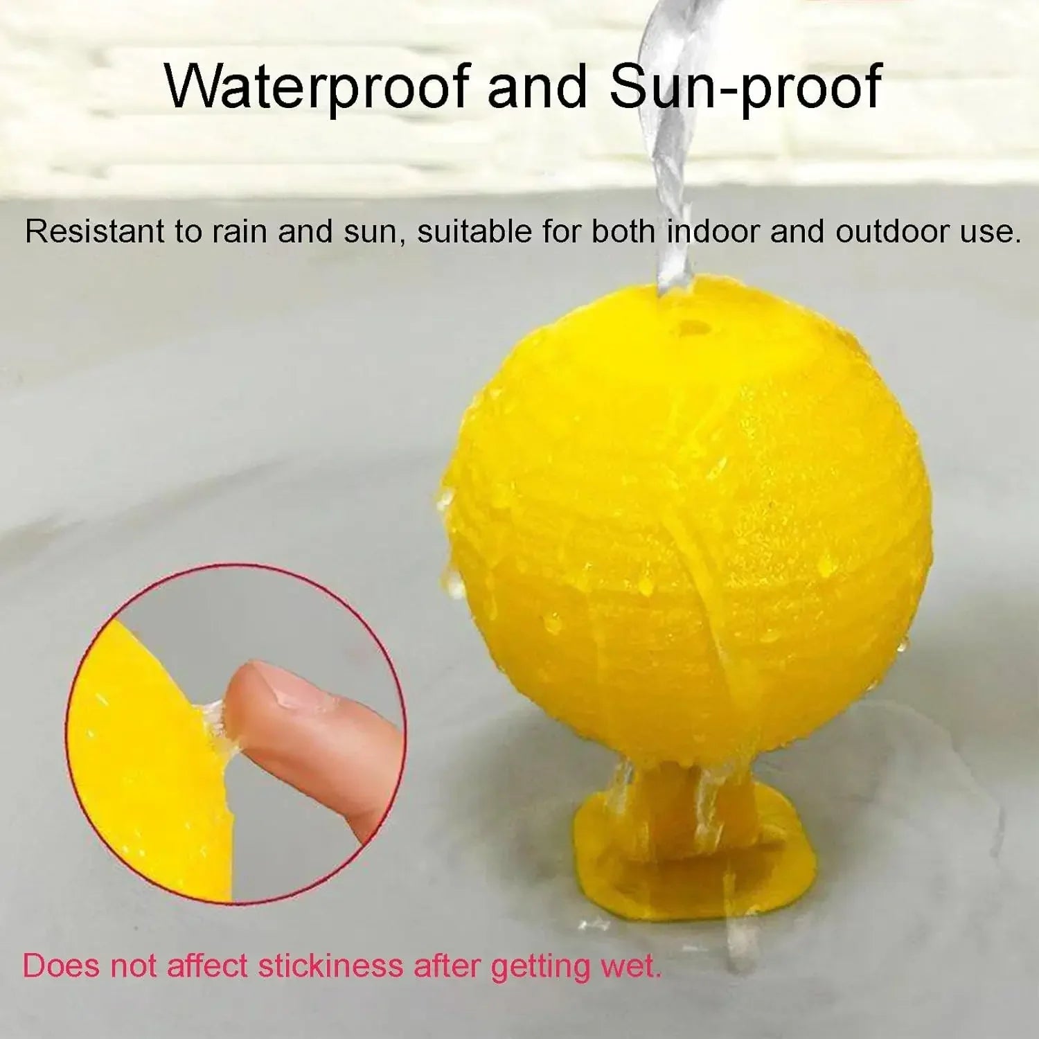 Lemon Sticky Fly Trap | Mosquito, Gnat & House Fly Catcher