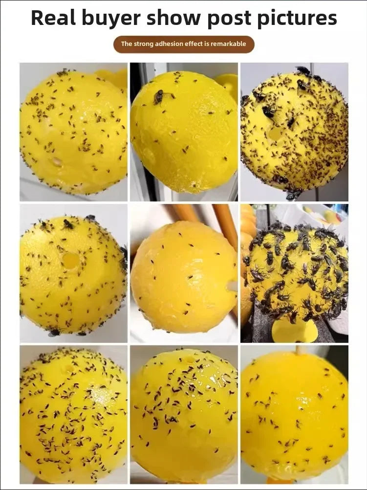 Lemon Sticky Fly Trap | Mosquito, Gnat & House Fly Catcher