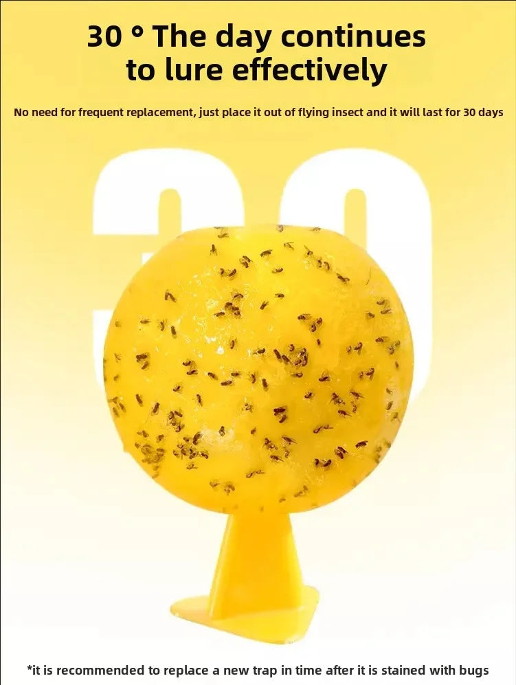 Lemon Sticky Fly Trap | Mosquito, Gnat & House Fly Catcher