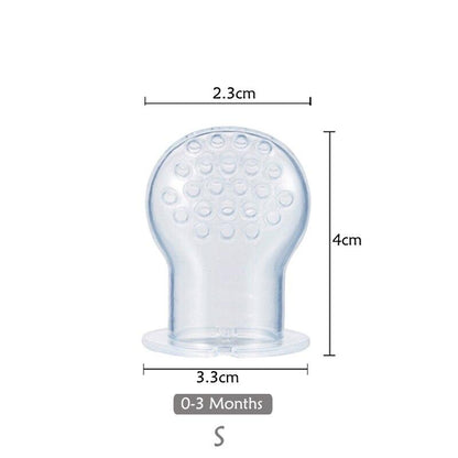 Fresh Food Feeder and Teether