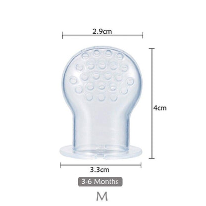 Fresh Food Feeder and Teether