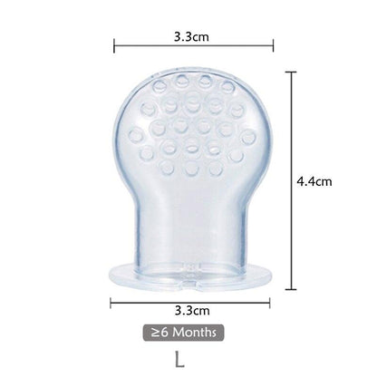 Fresh Food Feeder and Teether