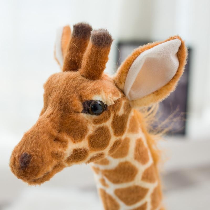 Gili the Giant Giraffe Toy
