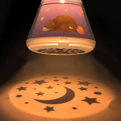 Storybook Projector